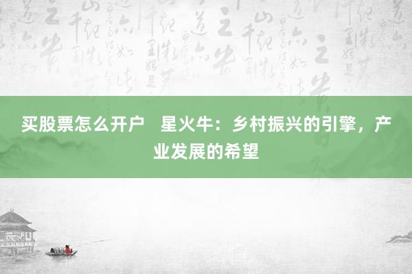 买股票怎么开户   星火牛：乡村振兴的引擎，产业发展的希望