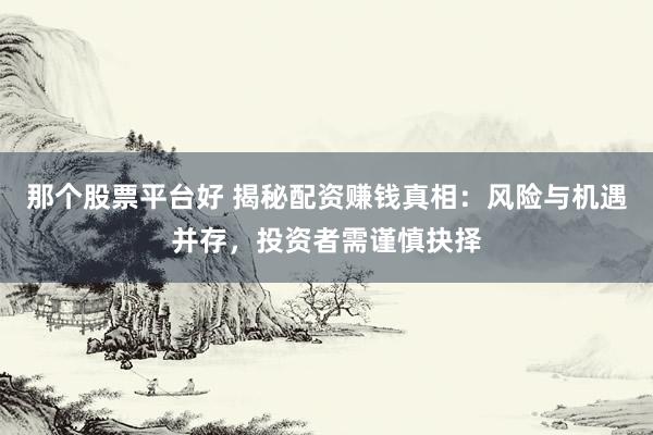 那个股票平台好 揭秘配资赚钱真相：风险与机遇并存，投资者需谨慎抉择