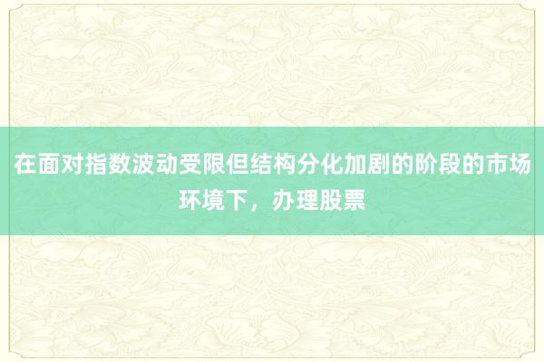 在面对指数波动受限但结构分化加剧的阶段的市场环境下，办理股票