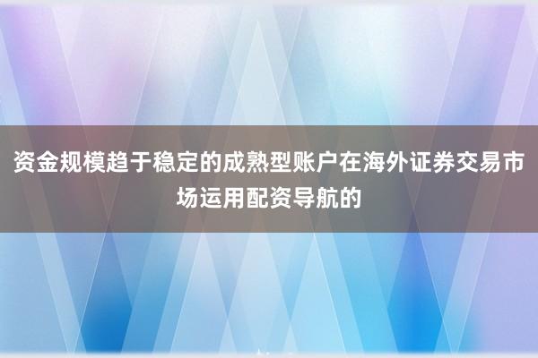 资金规模趋于稳定的成熟型账户在海外证券交易市场运用配资导航的