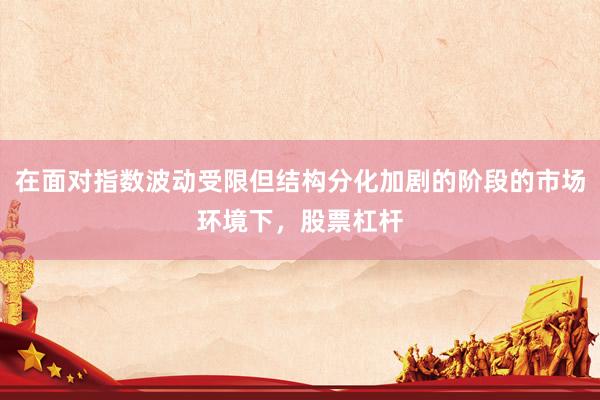 在面对指数波动受限但结构分化加剧的阶段的市场环境下，股票杠杆