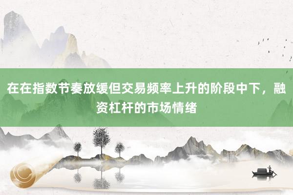 在在指数节奏放缓但交易频率上升的阶段中下，融资杠杆的市场情绪