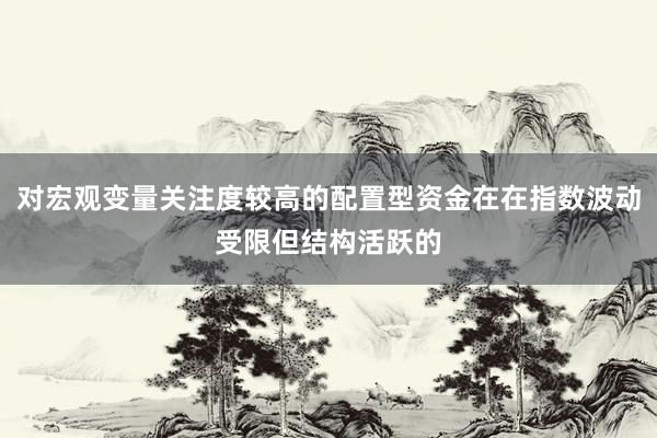 对宏观变量关注度较高的配置型资金在在指数波动受限但结构活跃的