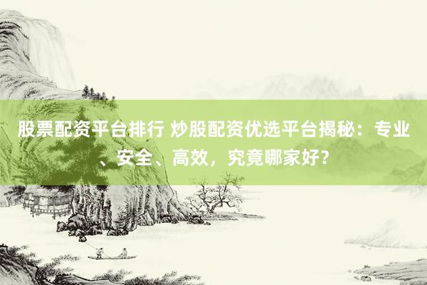 股票配资平台排行 炒股配资优选平台揭秘：专业、安全、高效，究竟哪家好？