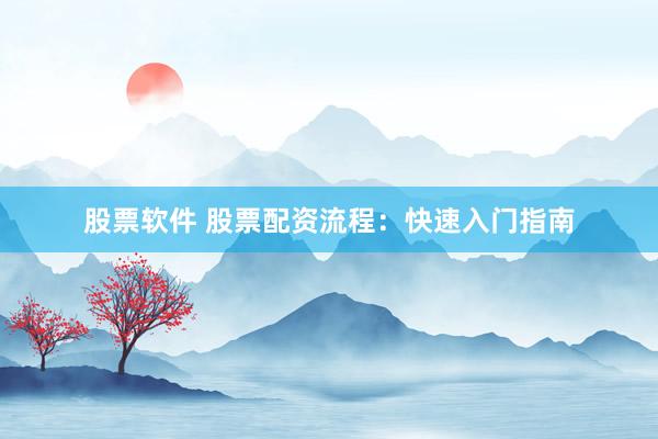股票软件 股票配资流程：快速入门指南