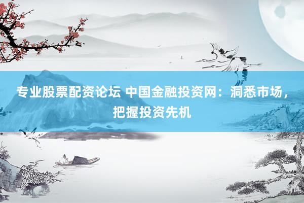 专业股票配资论坛 中国金融投资网：洞悉市场，把握投资先机